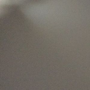 Meet your Posher, Natasha